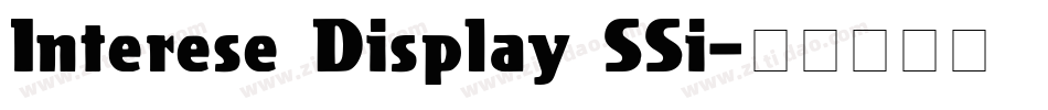 Interese Display SSi字体转换